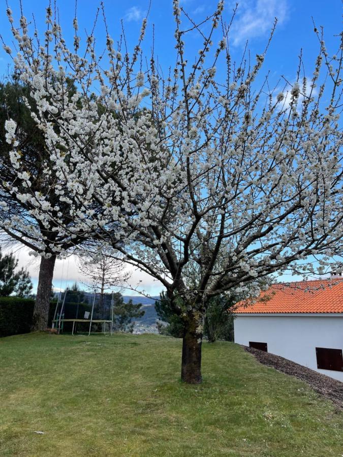 Casa Catita - Douro Villa Baião Екстериор снимка